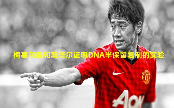 梅塞尔森和斯塔尔证明DNA半保留复制的实验