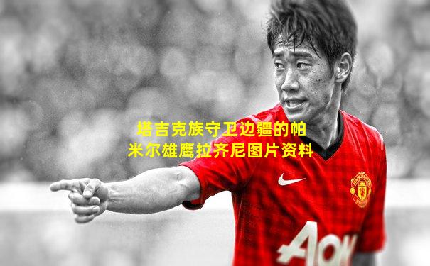 塔吉克族守卫边疆的帕米尔雄鹰拉齐尼图片资料